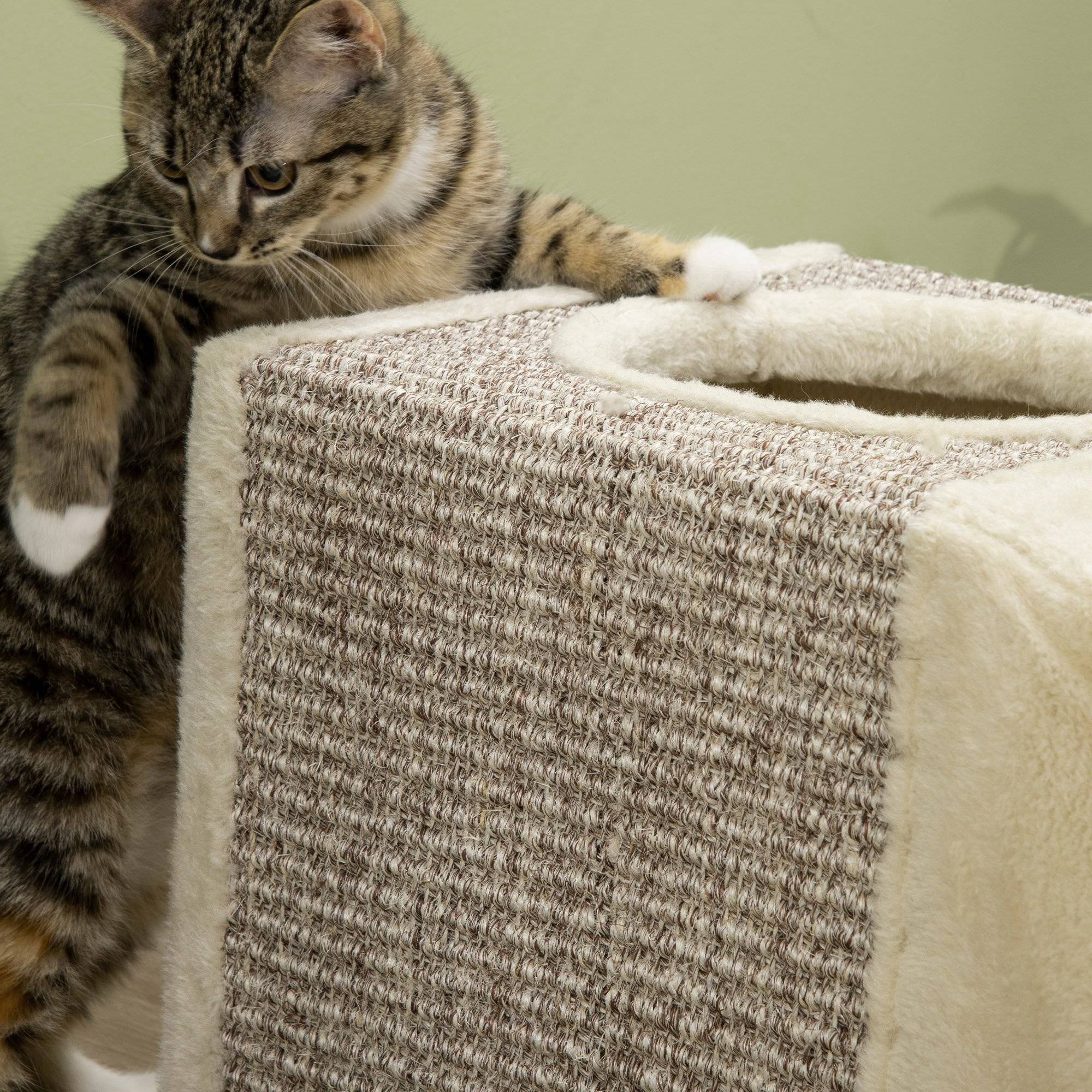 Sans Marque - Tunnel pour chat intérieur jouets pour chats avec balle suspendue entrées multiples en sisal 98 x 30 x 30 cm crème - Image 10