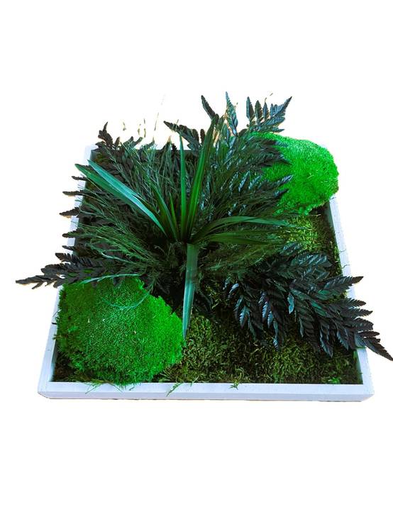 Tableau végétal stabilisé Kaiga- tableau végétal - décoration d'intérieur - 35*35 cm - Image 2