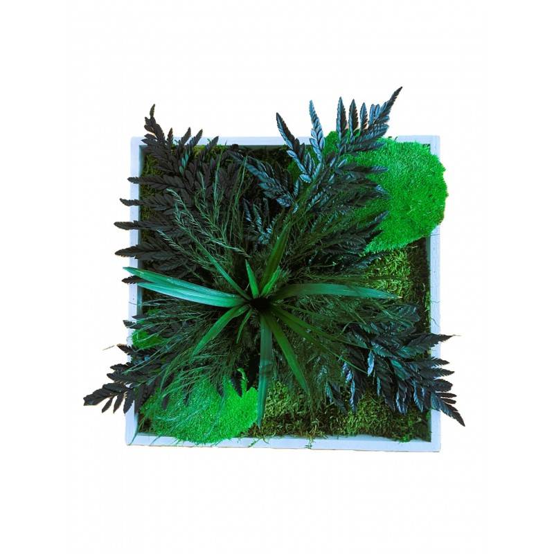 Tableau végétal stabilisé Kaiga- tableau végétal - décoration d'intérieur - 35*35 cm