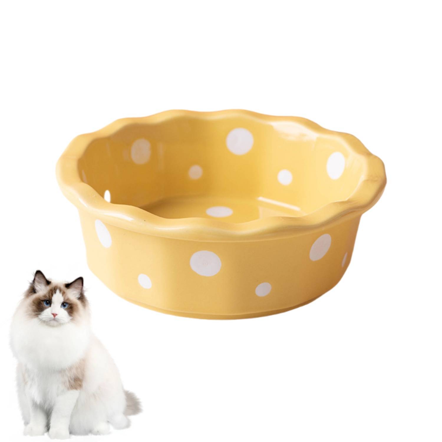 DtopbuyAge - Bol Céramique pour Chat - Anti-Bascule & Hygiénique DtopbuyAge - Image 1