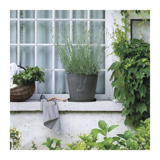 Deroma - Soucoupe - Deroma - Origin - 49,5 X H4,5 Cm - Gris - Image 2