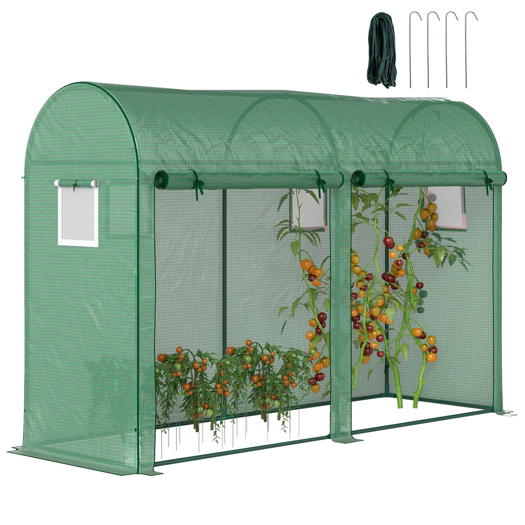 Serre aluminium et PE 300x100x200 cm avec fenêtre et porte pour balcon, tomates et culture de légumes