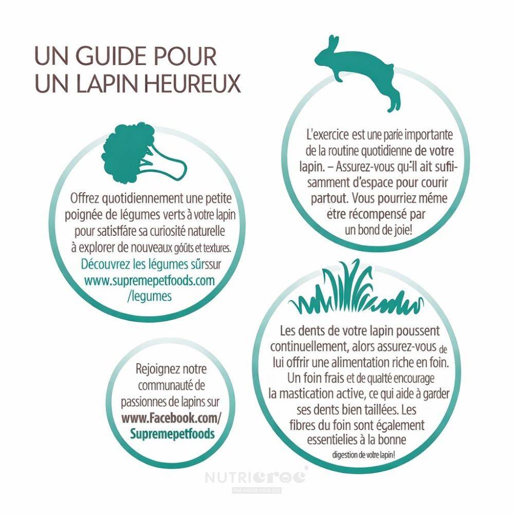 Aliment complet Lapin (sac) - Selective 2 kg - Image 4