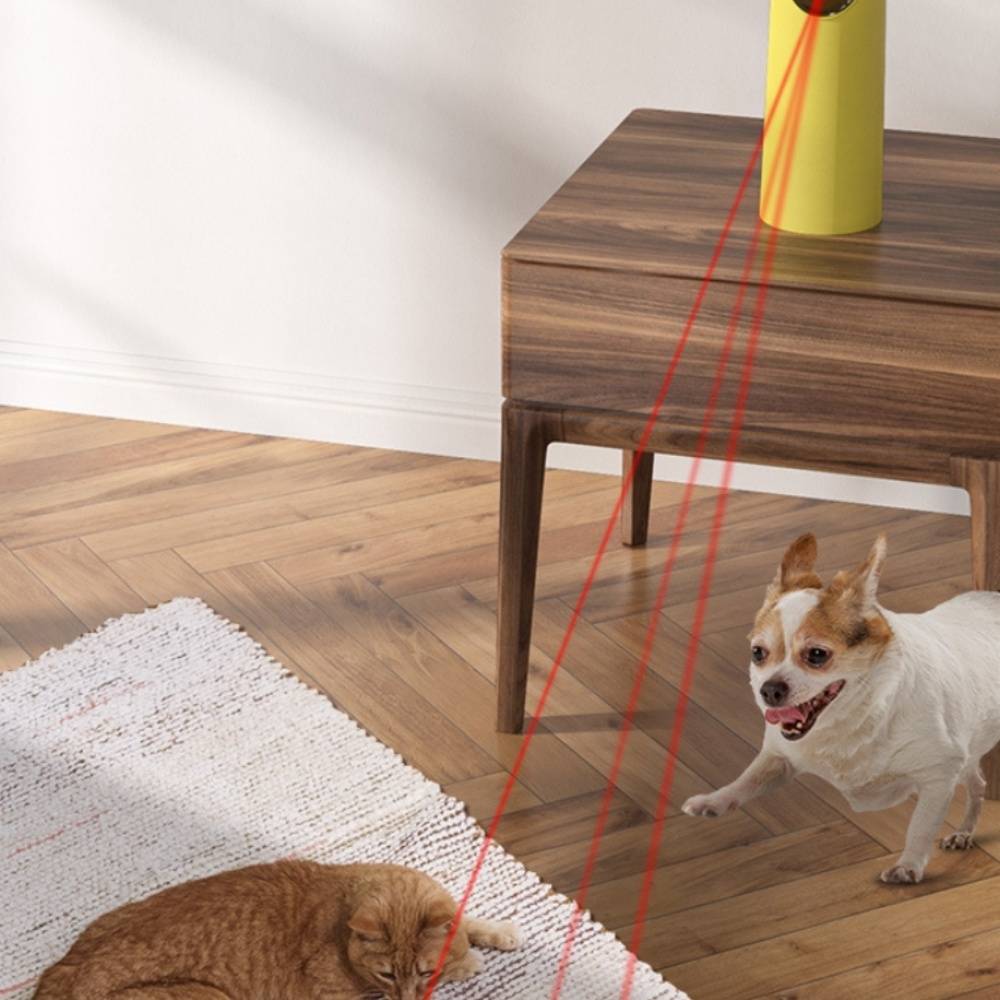 IntiMeg - Jouet pour chat laser automatique IntiMeg - Image 2