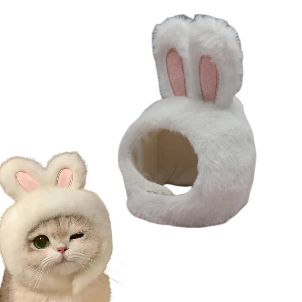 Costume d'Halloween pour chat - IntiMeg - Image 1