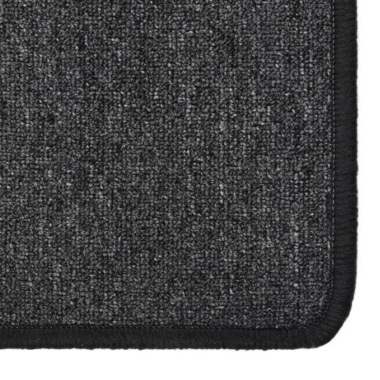 Tapis de Sol Long pour Couloir Antidérapant et Résistant Idéal Passage Fréquent Anthracite 50x250 cm – ComfortXL Outdoor Living - Image 3