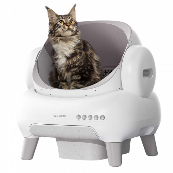NEAKASA M1 Litière automatique pour grands chats, Blanc + AirStep Purificateur d'air NEAKASA - Image 2