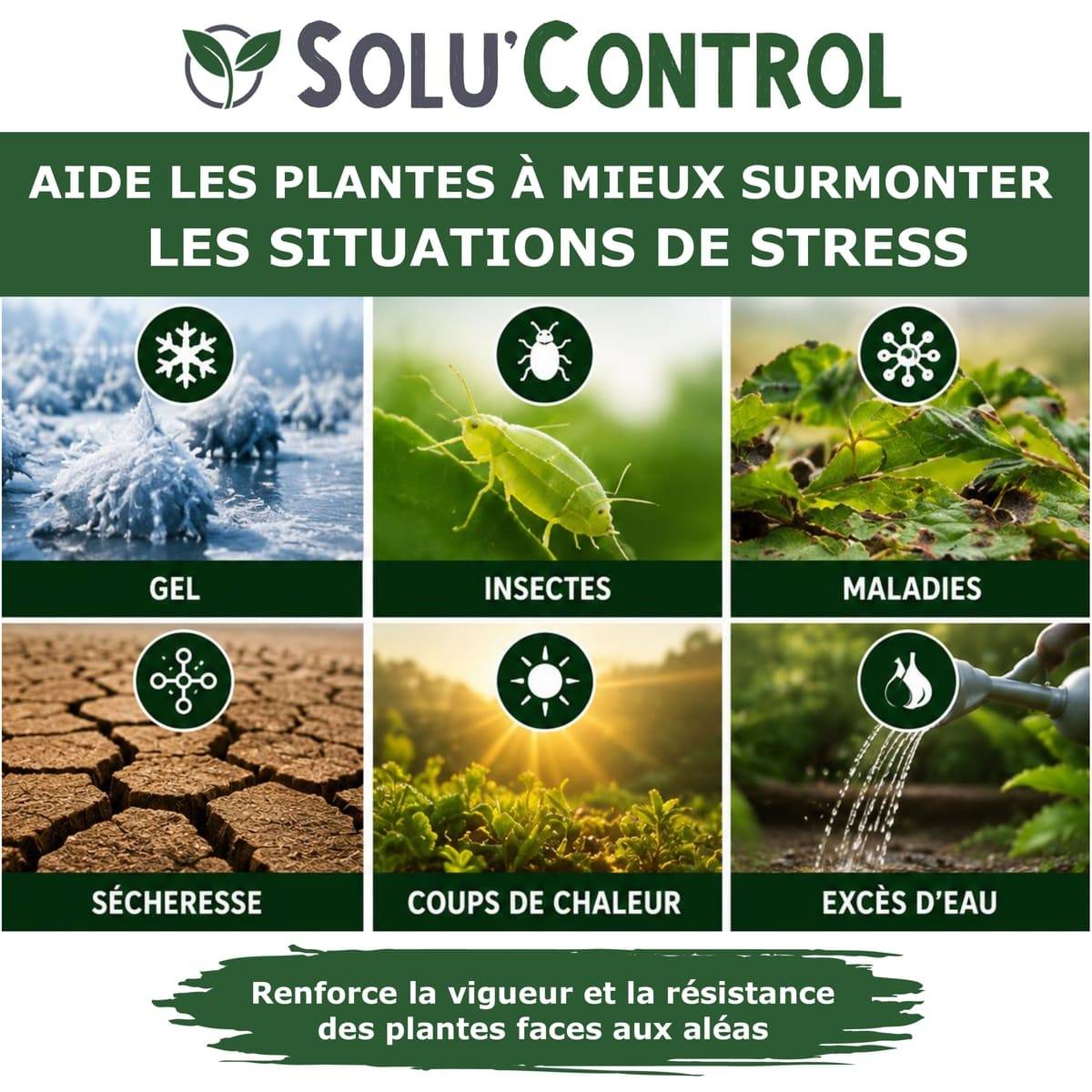 Tout pour les nuisibles - Biostimulant Concentré à l'Extrait d'Ail, d'Ortie et de Plantes Solu'Control Vége'Défense – 1 litre – Renforce les Défenses Naturelles des Plantes - Image 2