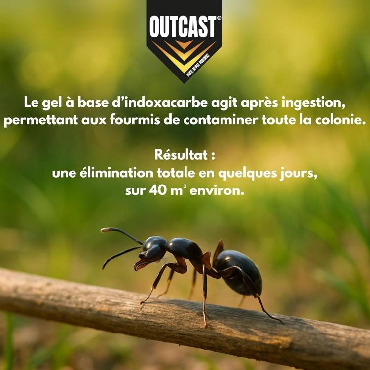 Piège Anti-Fourmis en Gel pour Intérieur & Extérieur - Outcast - Image 4