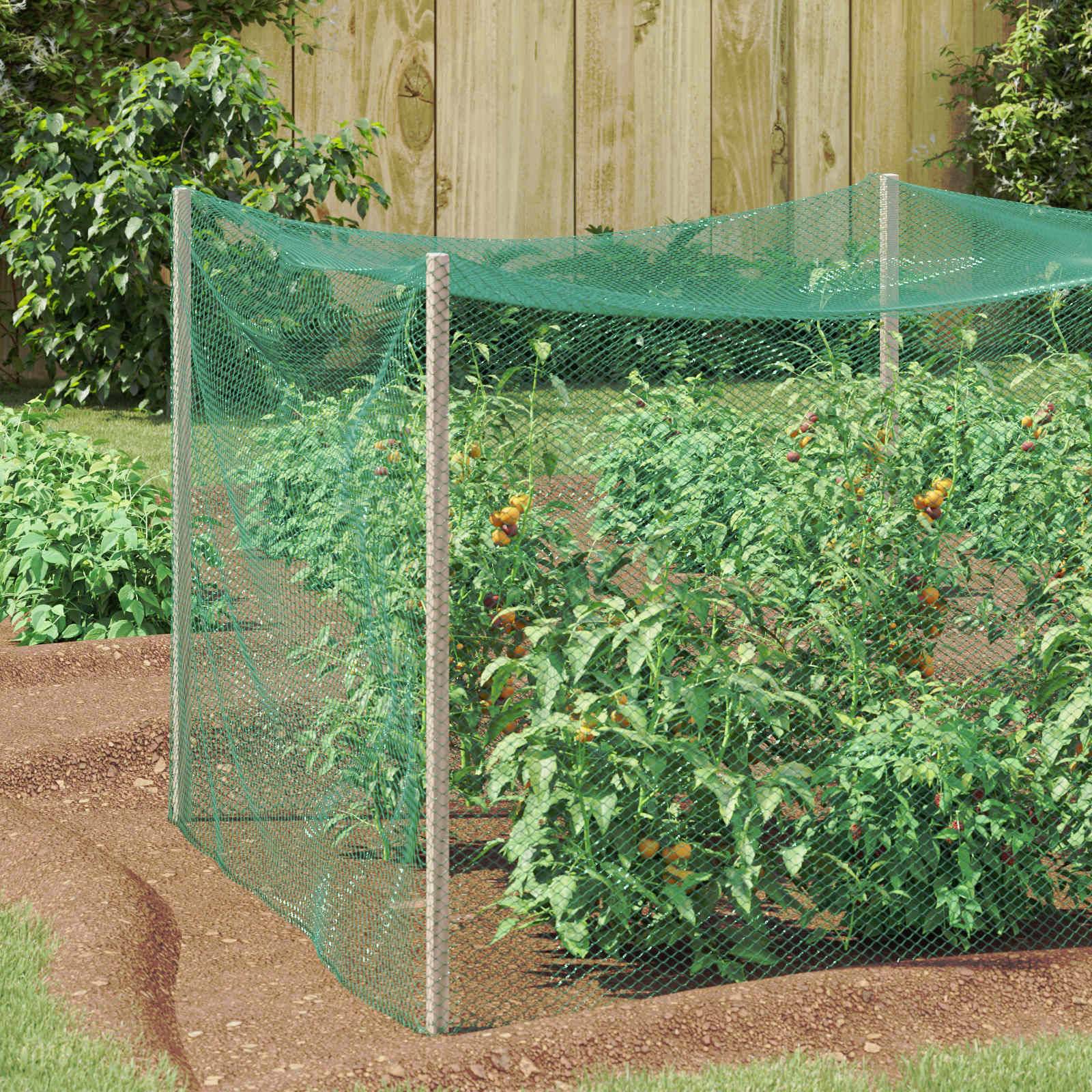 PANGIVO - Filet de protection pour oiseaux polyéthylène vert 500 x 400 cm - PANGIVO - Image 1