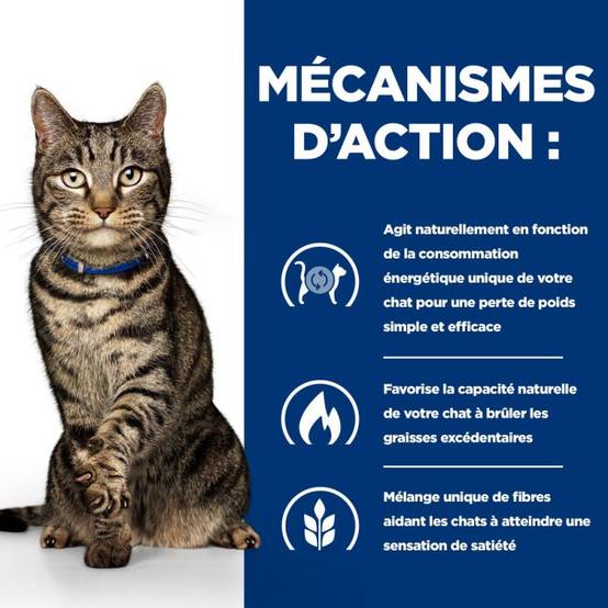 CROQUETTES CHAT ADULT PRESCRIPTION DIETS METABOLIC - HILL'S 8 kg - Image 4