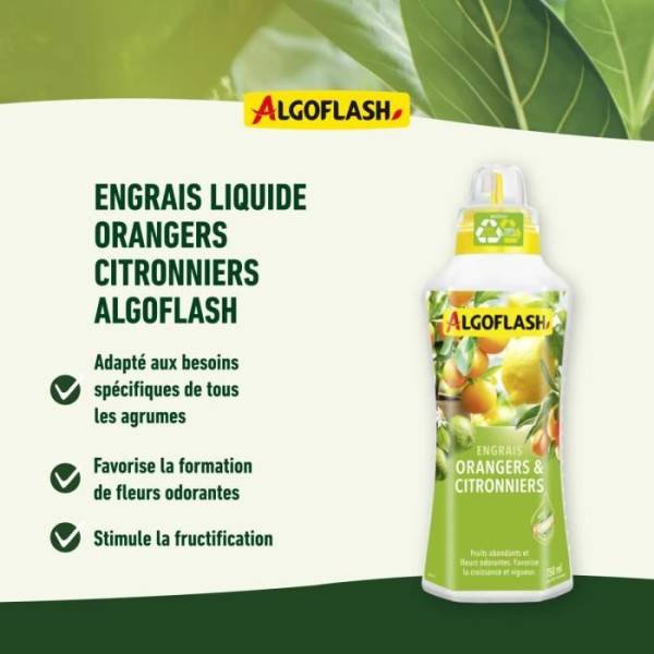 Algoflash - Engrais Orangers Et Citronniers 750 Ml - Image 3