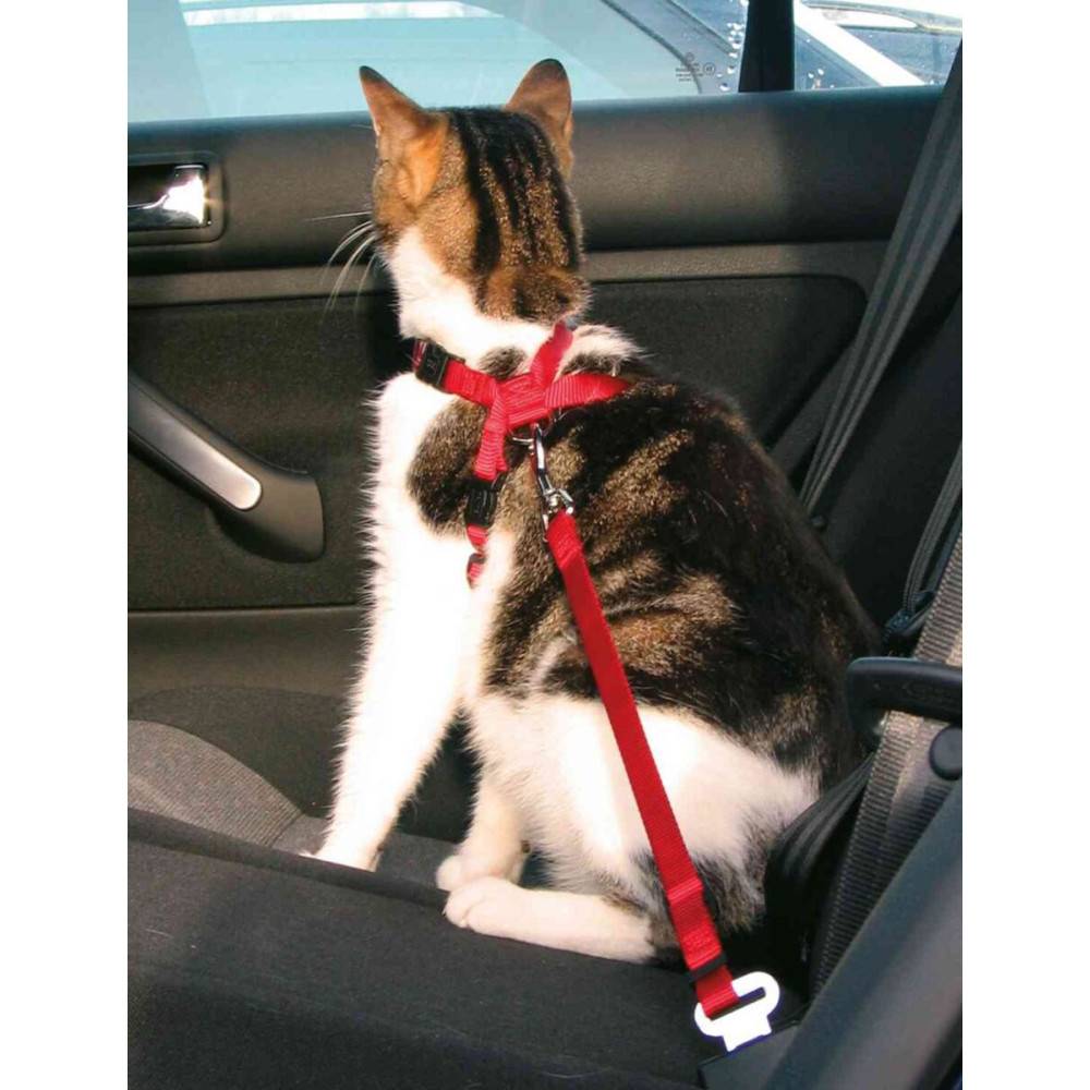 Trixie - Trixie - Harnais pour chat  spéciale pour voiture - Image 2