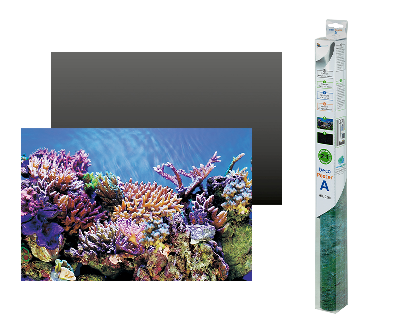 Superfish - Poster décoratif aquarium A2 60x49 cm - SUPERFISH
