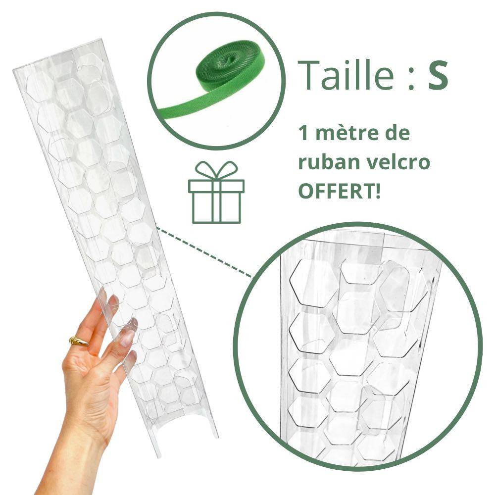 Tuteur pour plantes grimpantes transparent - Pack x3 + velcro offert - Taille XS (Monstera, Pothos) - Image 6