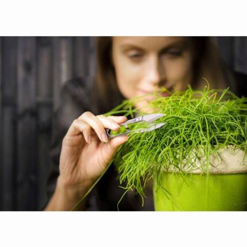 Esschert Design - Pot Long vert - Vert foncé - Image 1