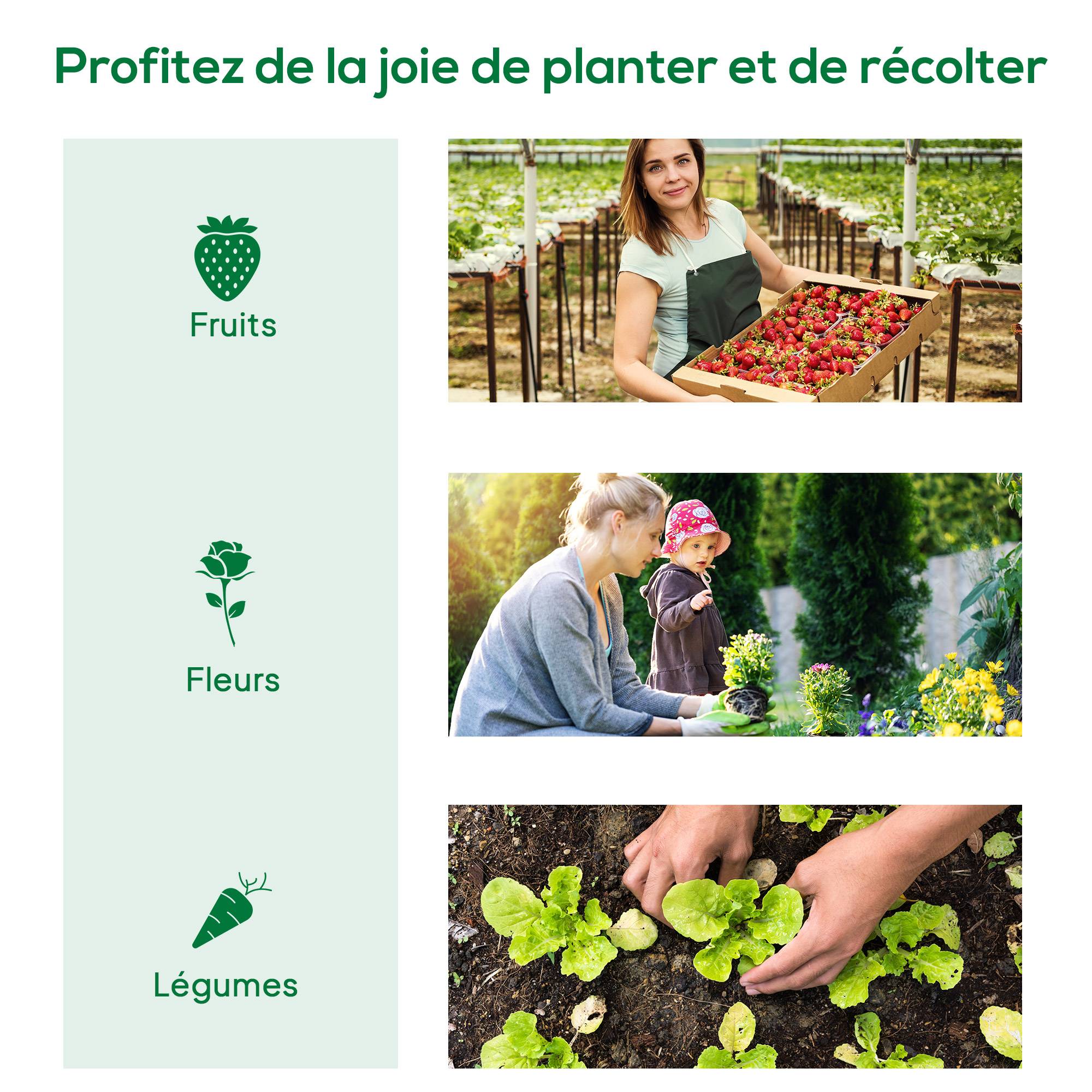 ComfortXL - Mini serre de jardin acier et PE vert 200 x 80 x 45 cm potager semis 4 aérations anti-UV - ComfortXL Outdoor Living - Image 9
