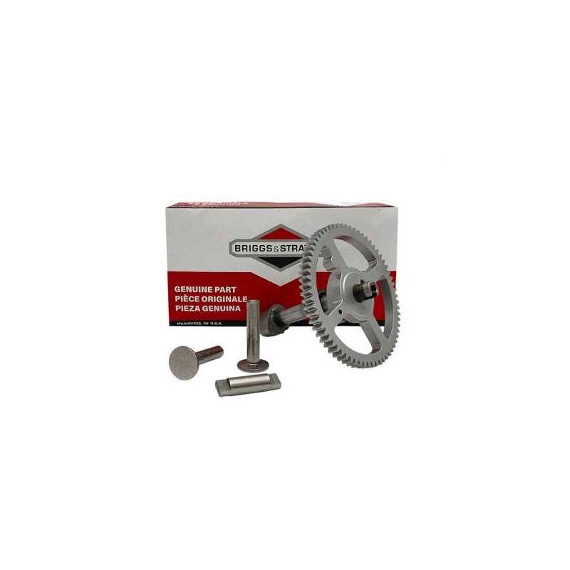Briggs & Stratton - Arbre à cames Briggs and Stratton 84005207 - Image 2