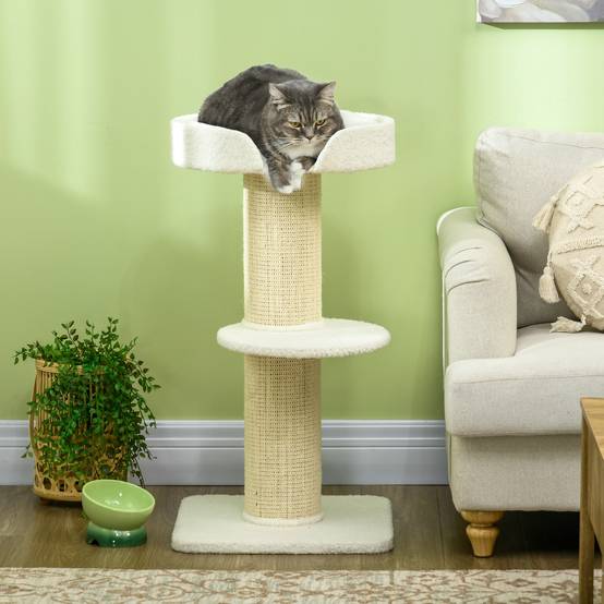Arbre à chat sisal et peluche crème 45 x 45 x 91 cm - PANGIVO - Image 3