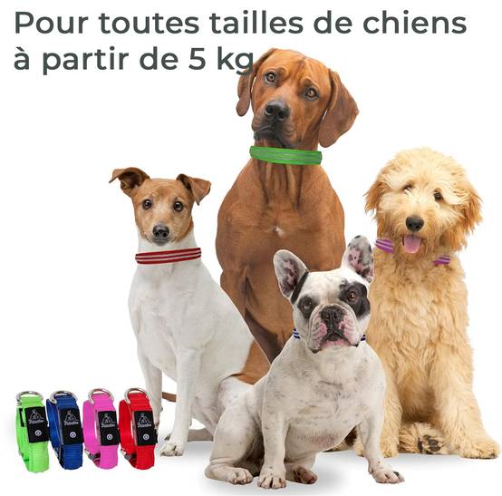 Petsation - Collier Lumineux pour Chien - Rechargeable par USB - Nylon renforcé - Haute Qualité, Stabilité & Sécurité (rouge L) - Petsation - Image 4