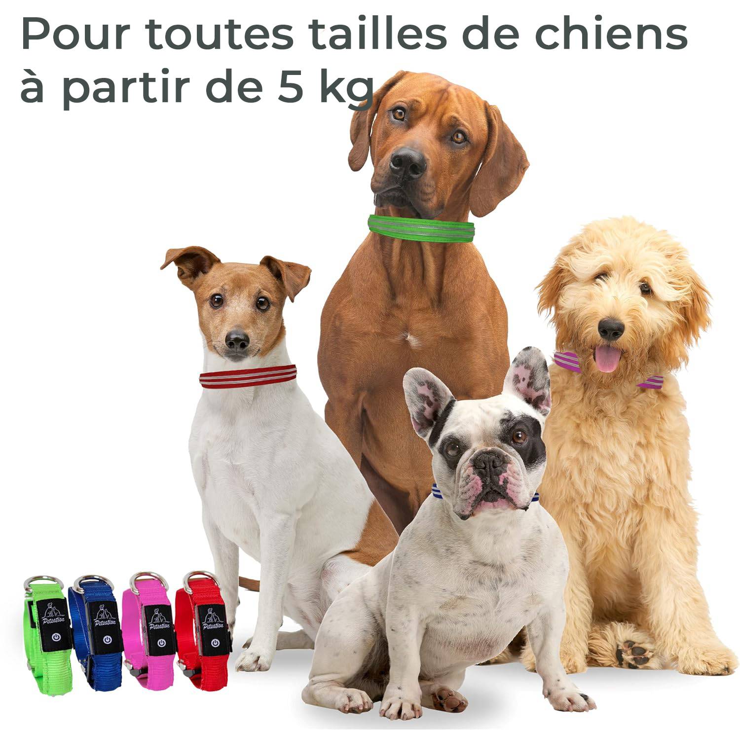 Petsation - Collier Lumineux pour Chien - Rechargeable par USB - Nylon renforcé - Haute Qualité, Stabilité & Sécurité (rouge L) - Petsation - Image 4