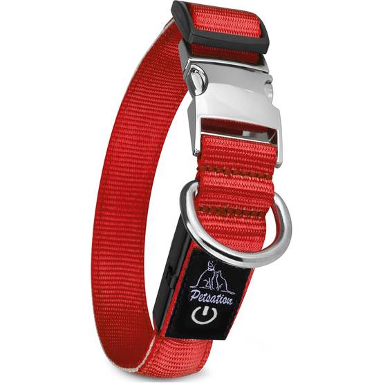 Petsation - Collier Lumineux pour Chien - Rechargeable par USB - Nylon renforcé - Haute Qualité, Stabilité & Sécurité (rouge L) - Petsation - Image 1