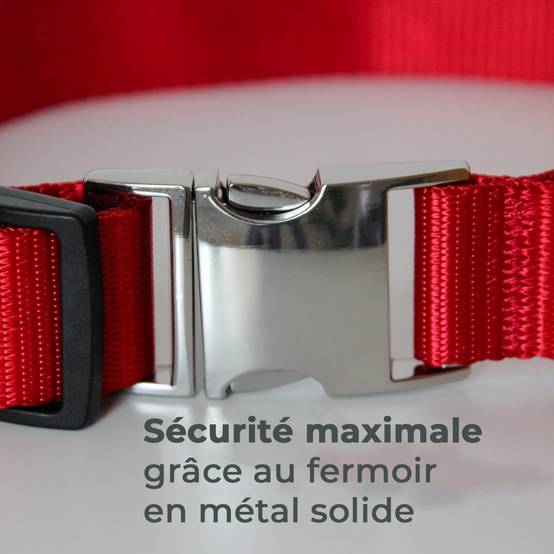 Petsation - Collier Lumineux pour Chien - Rechargeable par USB - Nylon renforcé - Haute Qualité, Stabilité & Sécurité (rouge L) - Petsation - Image 6