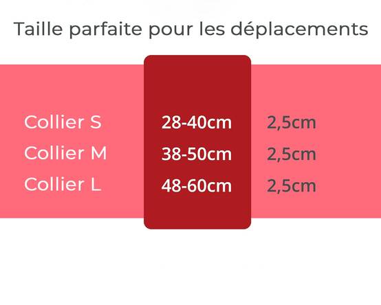 Petsation - Collier Lumineux pour Chien - Rechargeable par USB - Nylon renforcé - Haute Qualité, Stabilité & Sécurité (rouge L) - Petsation - Image 5