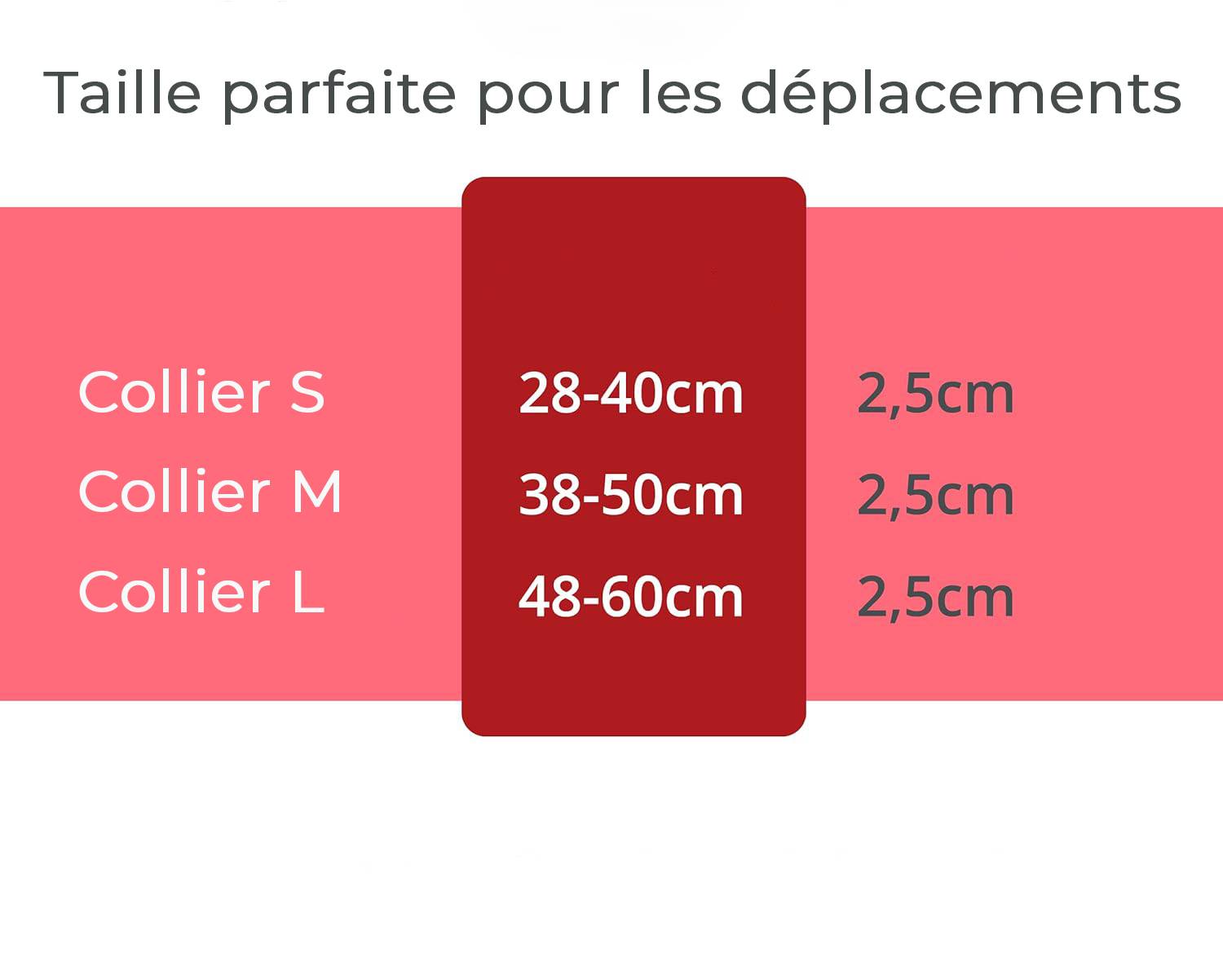 Petsation - Collier Lumineux pour Chien - Rechargeable par USB - Nylon renforcé - Haute Qualité, Stabilité & Sécurité (rouge L) - Petsation - Image 5