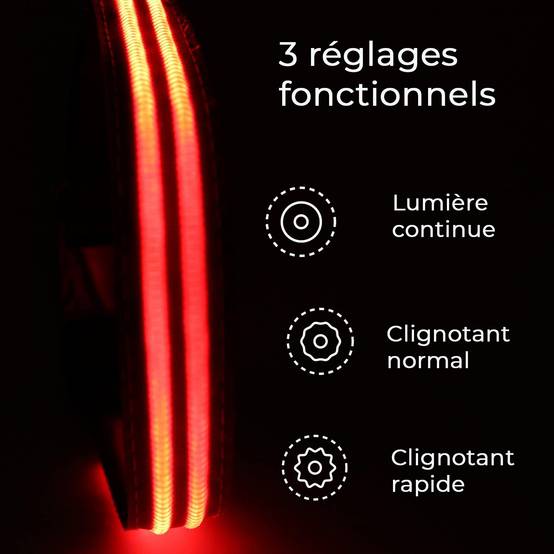 Petsation - Collier Lumineux pour Chien - Rechargeable par USB - Nylon renforcé - Haute Qualité, Stabilité & Sécurité (rouge L) - Petsation - Image 3