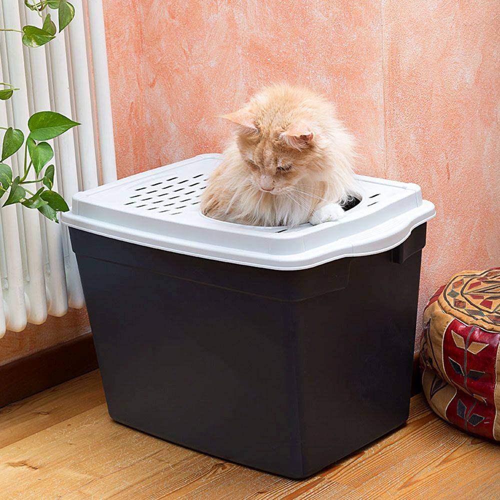 Ferplast - Ferplast Bac à Litière pour Chat, Toilettes Couvertes pour Chat, avec Entrée Supérieure, Couvercle Perforé, 38,8 x 57,5 xh 39 cm, Grand Bac à Litière - Image 3