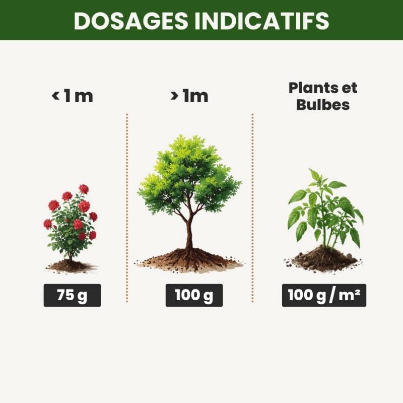 Ferti Plantations - Engrais pour plantations - Seau 1 kg - Image 2