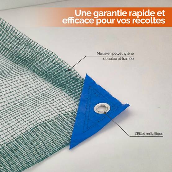 Filet de récolte pour olives ou autres avec oeillets et ouverture tronc - 10 x 10 m - Vert - Linxor - Image 3