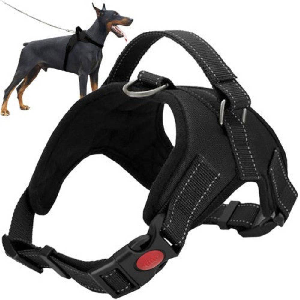 Harnais pour chien sans pression L - Image 1