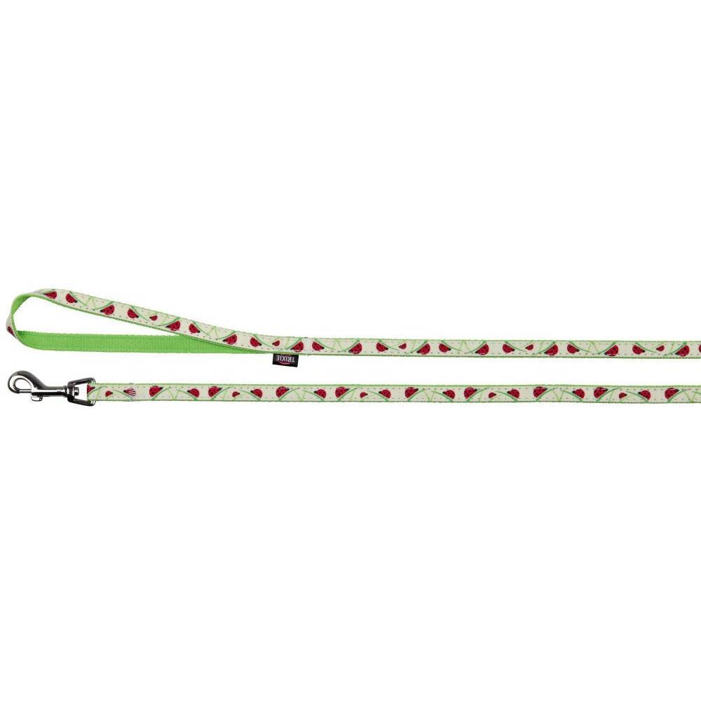Trixie - Trixie - Collier réglable de 22 à 33 cm, couleur phosphorescent avec laisse chat - Image 3