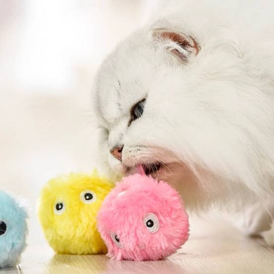 IntiMeg - Balle sonore lumineuse pour chat IntiMeg - Image 5