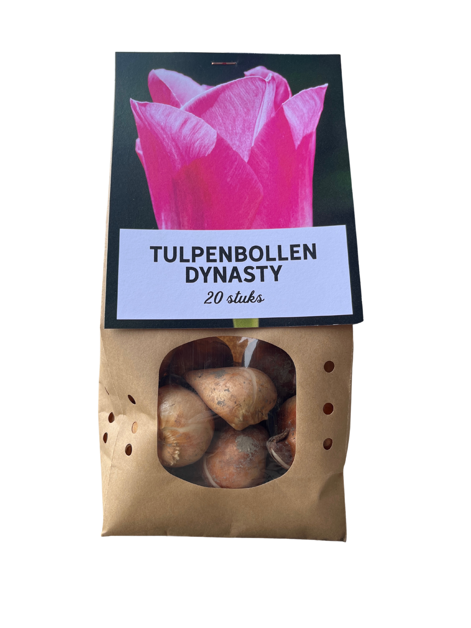 La Green Touch - Tulipe Dynasty - 20 bulbes - Image 5