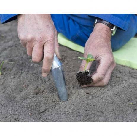 Nature - Plantoir conique - Image 2