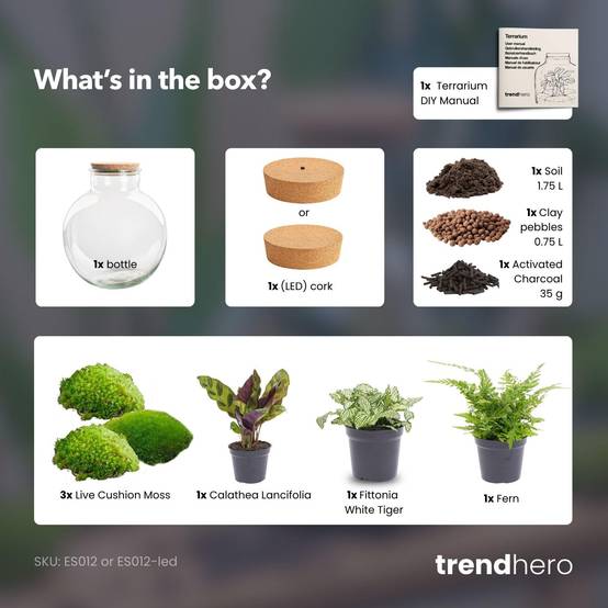 Diy Planten Terrarium (Avec Verlichting) - D31 H31cm - Image 3