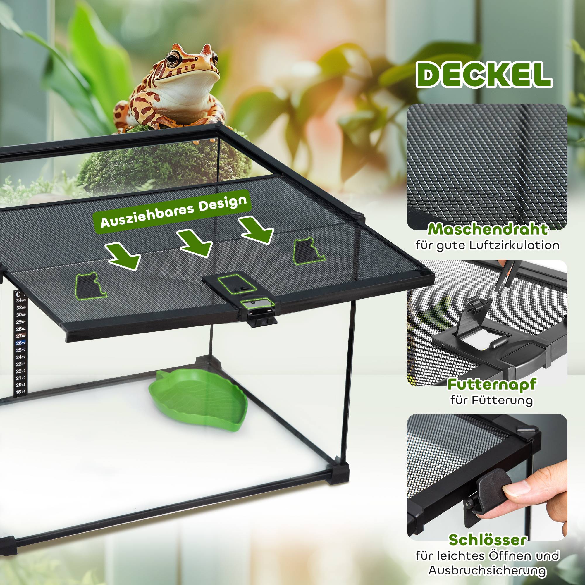 PANGIVO - Terrarium pour reptiles verre noir 50 x 30 x 35 cm - PANGIVO - Image 5