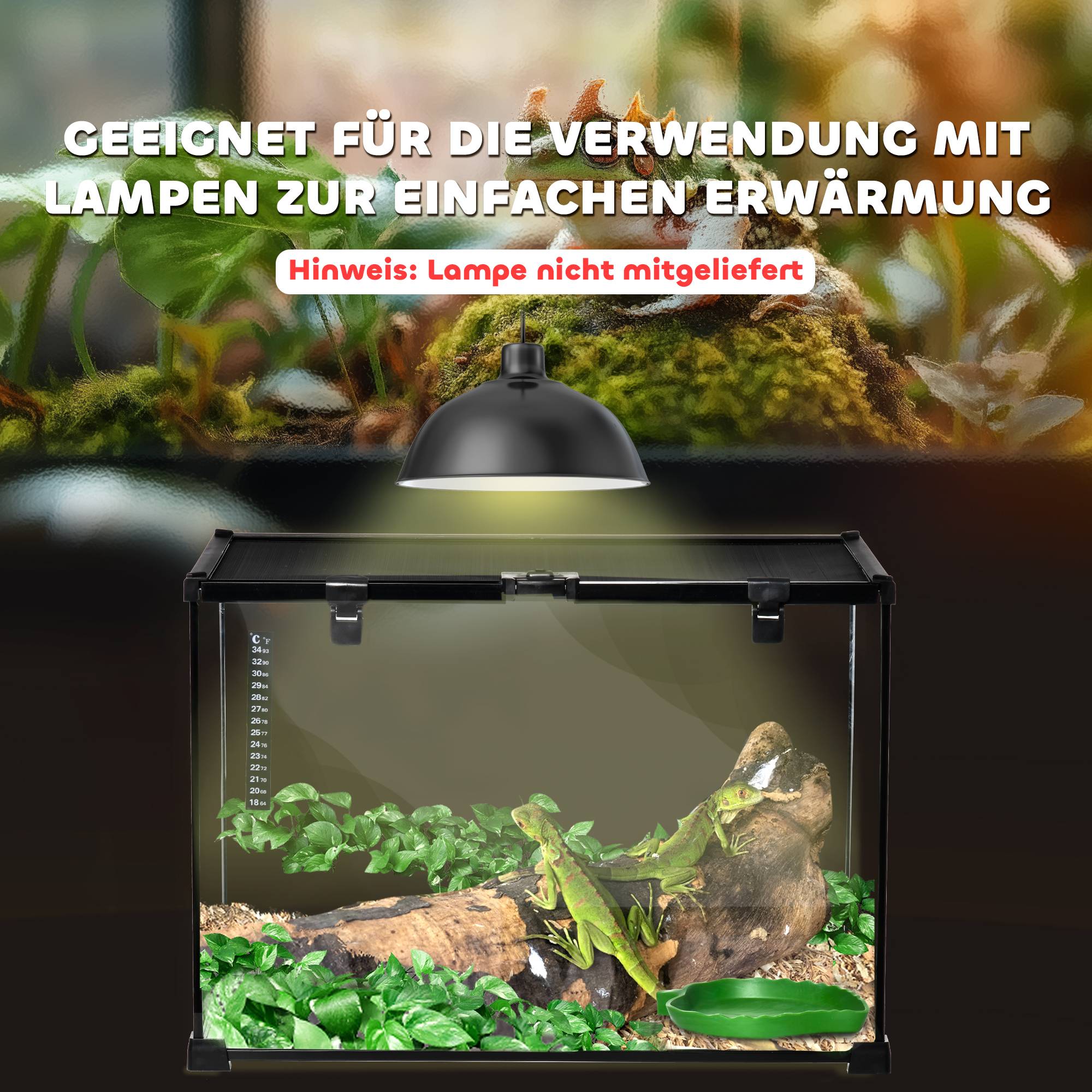 PANGIVO - Terrarium pour reptiles verre noir 50 x 30 x 35 cm - PANGIVO - Image 7