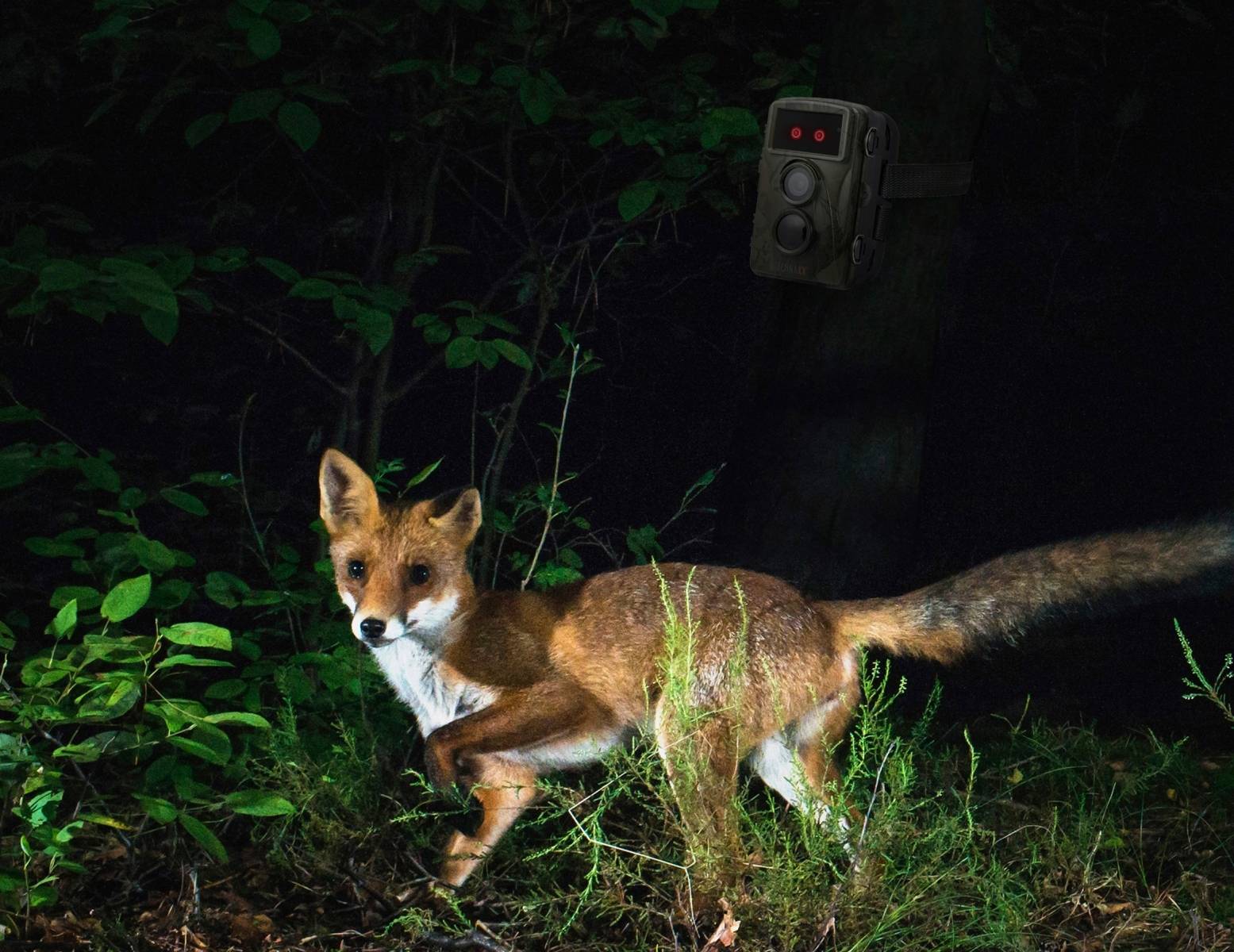 TECHNAXX - CAMERA DE SURVEILLANCE NATURE FULL HD TX-160 - Image 3