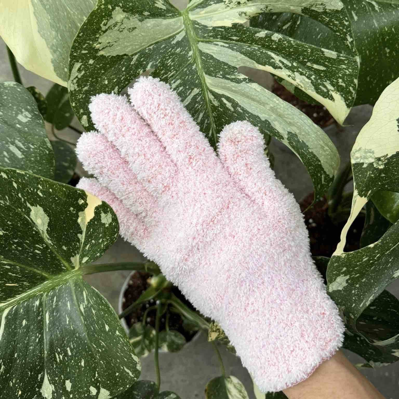 Pack Soin des Plantes Routine complète - Pulvérisateur 250ml + Savon noir concentré + Paire de Gants de Nettoyage - Beige - Image 5