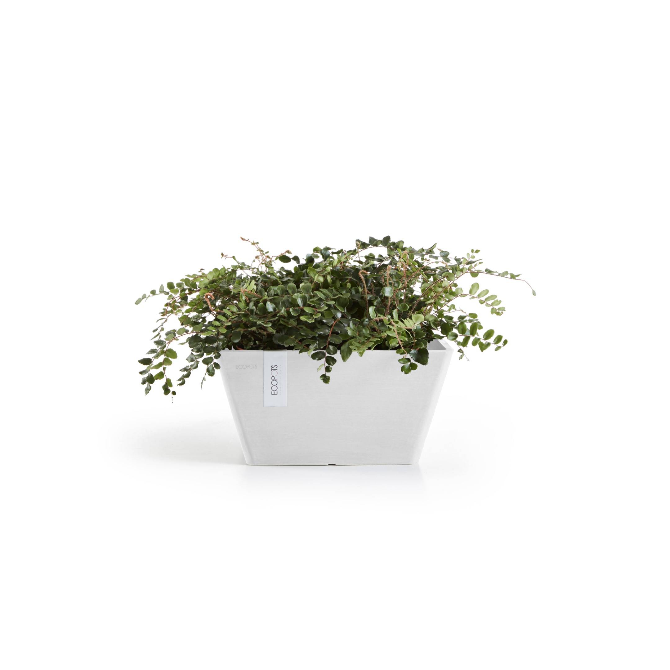 Ecopots - Pot Berlin 30 Pure White ECOPOTS - Image 2