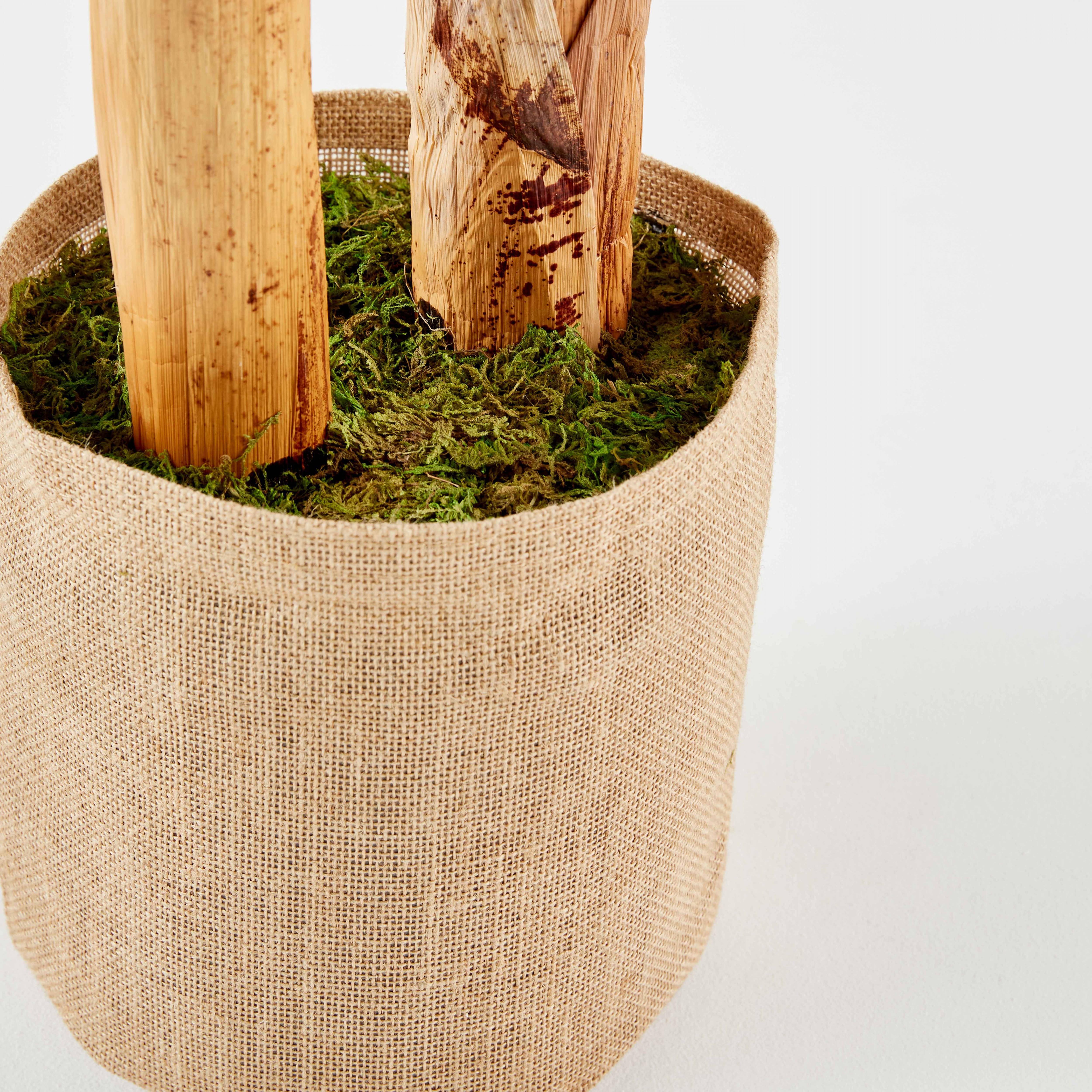 Oviala - Plante artificielle en pot Bananier 180 cm
 - Oviala - Image 5