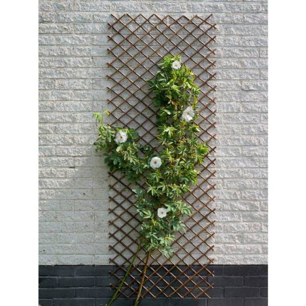 Nature Treillis de jardin 30x180 cm saule naturel marron 446397 - Image 2