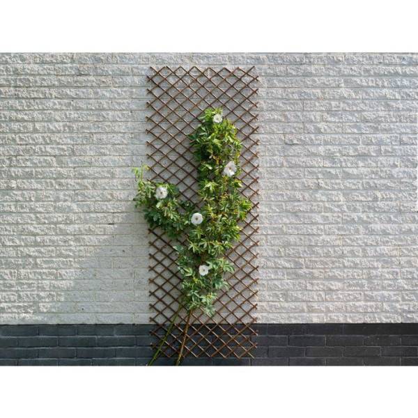 Nature Treillis de jardin 30x180 cm saule naturel marron 446397 - Image 3