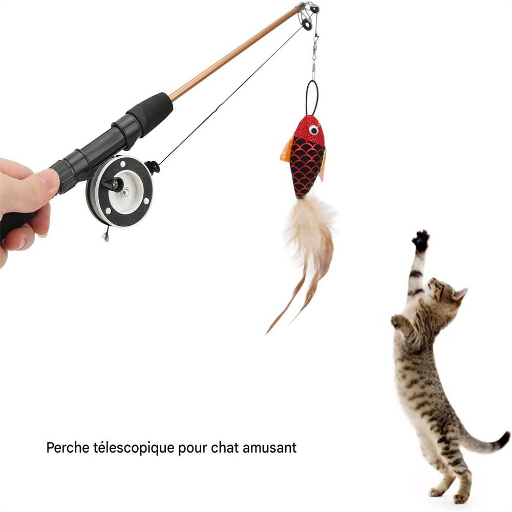 Bâton de jeu pour chat DtopbuyAge - Image 4