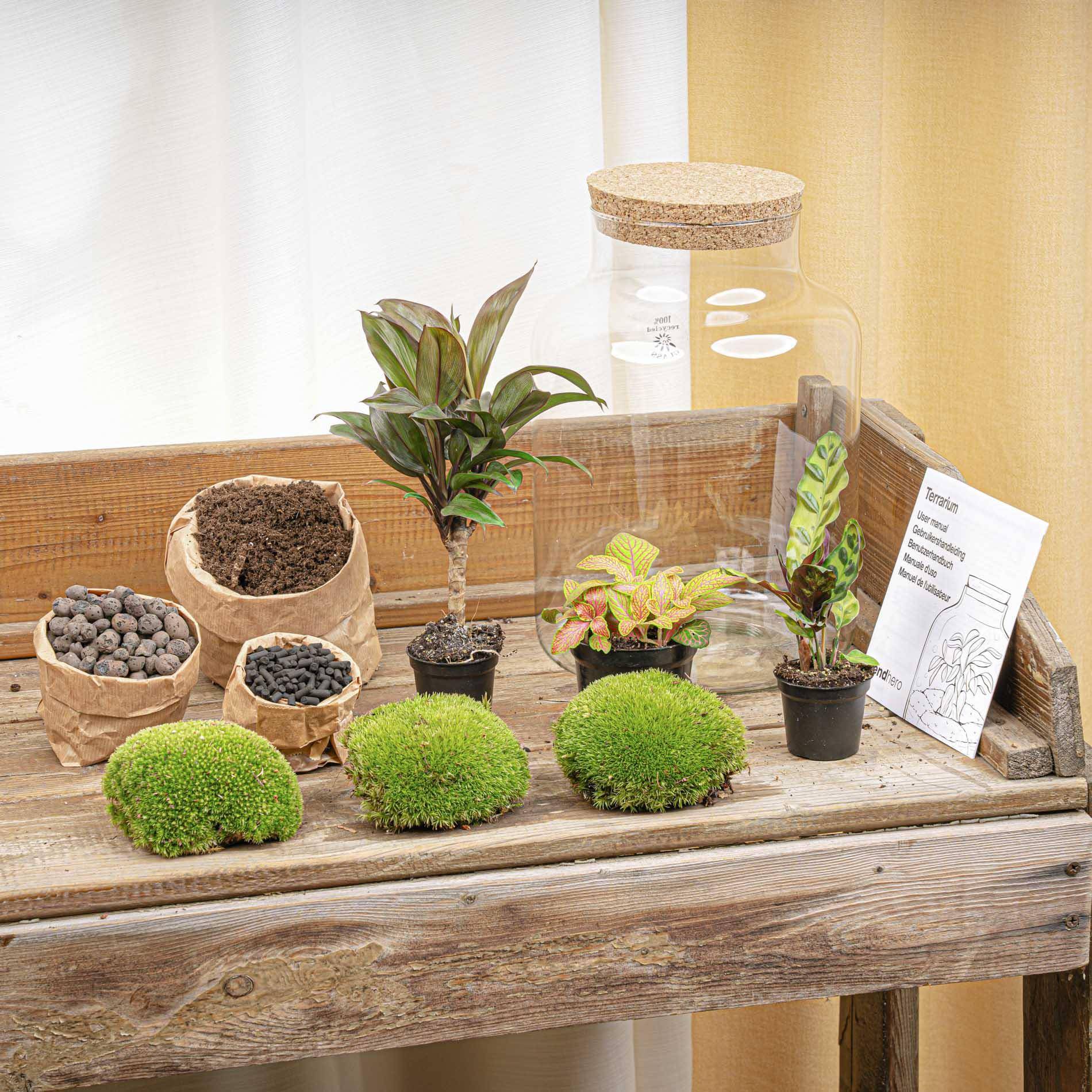 Terrarium à composer bouteille en verre recyclé - Ø21-H30cm - sans outils - bouchon LED - Terrarium DIY - Image 4