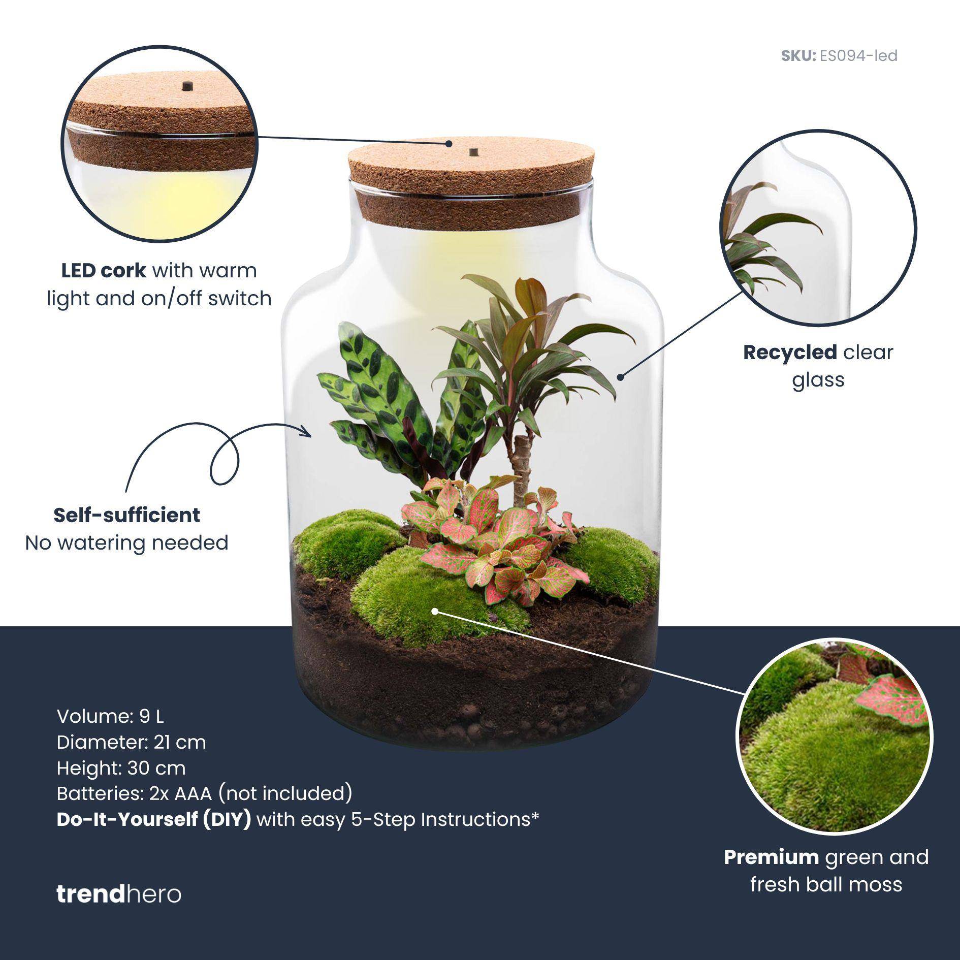 Terrarium à composer bouteille en verre recyclé - Ø21-H30cm - sans outils - bouchon LED - Terrarium DIY - Image 2